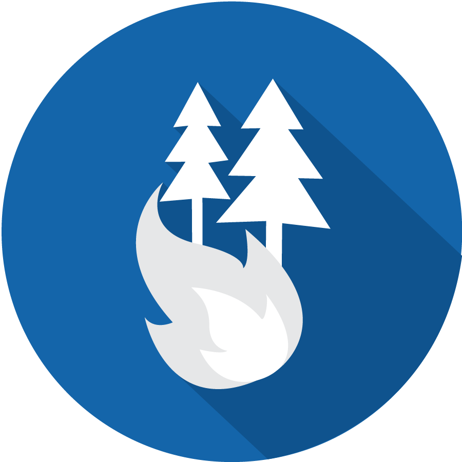 Icon for Abeyta Nelson Injury Law wildfires legal services