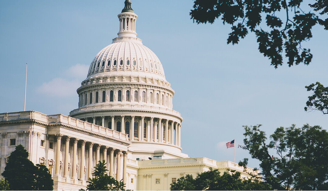 El edificio del Capitolio de los Estados Unidos con su cúpula y columnas, parcialmente enmarcado por árboles, y una bandera estadounidense visible al fondo.