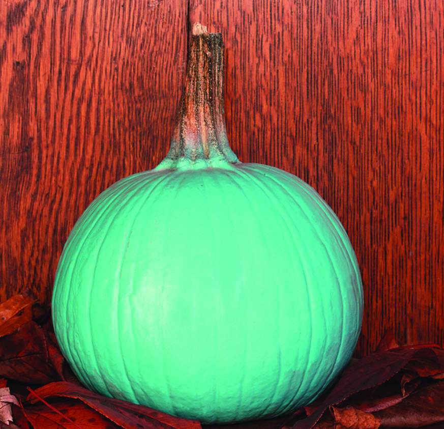 Abeyta Nelson fomenta el reparto de dulces sin alérgenos este Halloween